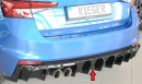 Rieger Heckeinsatz