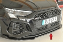 Rieger Spoilerschwert