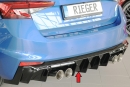 Rieger Heckeinsatz